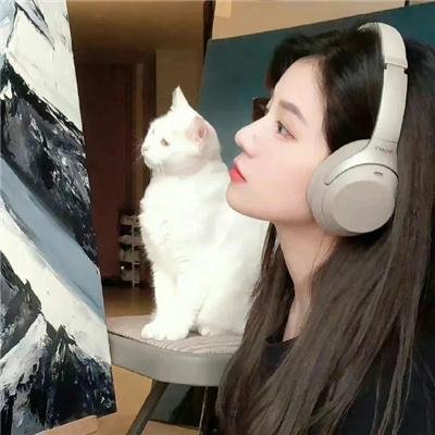 状王宋世杰2粤语